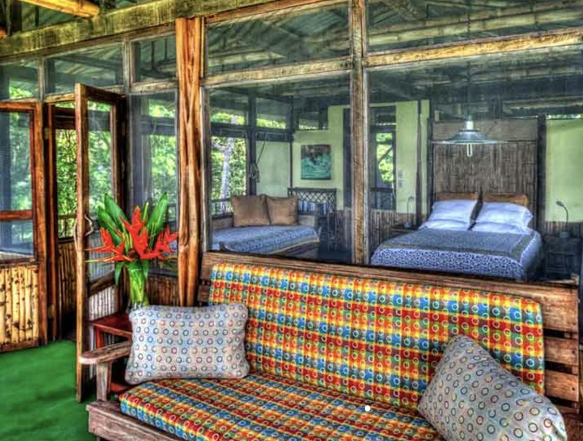 Iguana Lodge Beach Resort&Spa Puerto Jiménez Zewnętrze zdjęcie