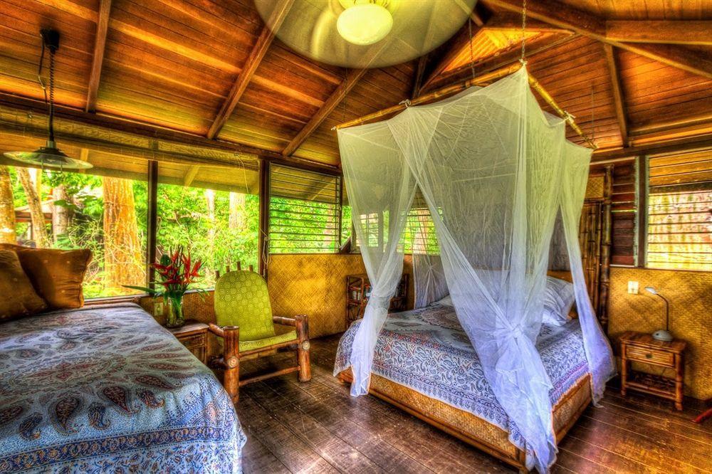 Iguana Lodge Beach Resort&Spa Puerto Jiménez Zewnętrze zdjęcie