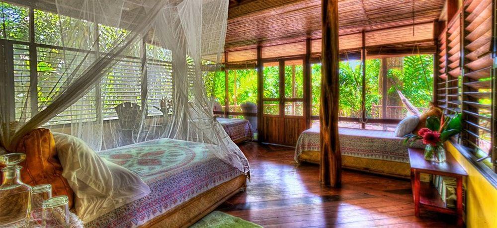 Iguana Lodge Beach Resort&Spa Puerto Jiménez Zewnętrze zdjęcie