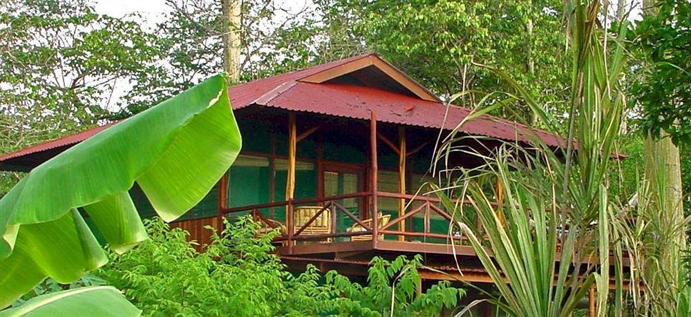 Iguana Lodge Beach Resort&Spa Puerto Jiménez Zewnętrze zdjęcie