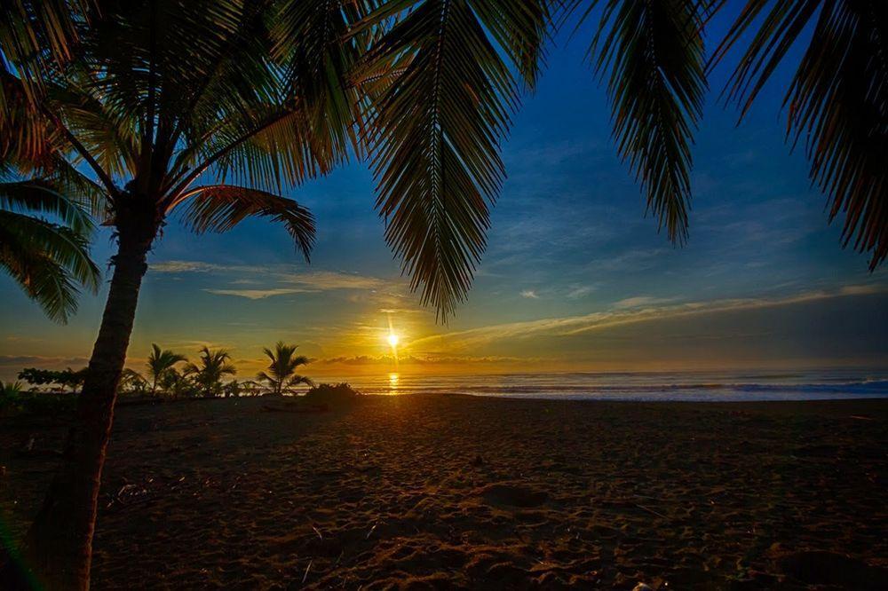 Iguana Lodge Beach Resort&Spa Puerto Jiménez Zewnętrze zdjęcie
