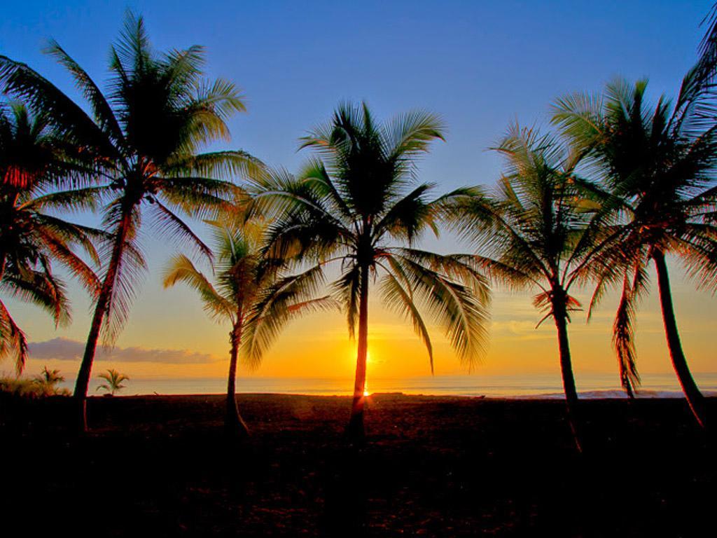 Iguana Lodge Beach Resort&Spa Puerto Jiménez Zewnętrze zdjęcie