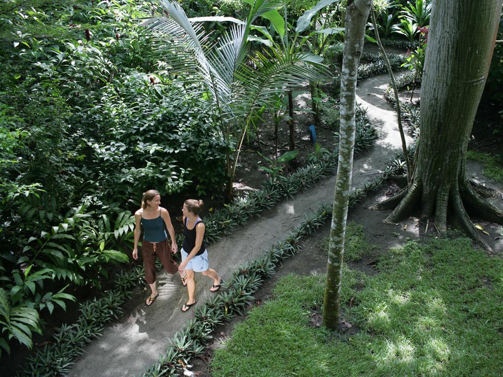 Iguana Lodge Beach Resort&Spa Puerto Jiménez Zewnętrze zdjęcie