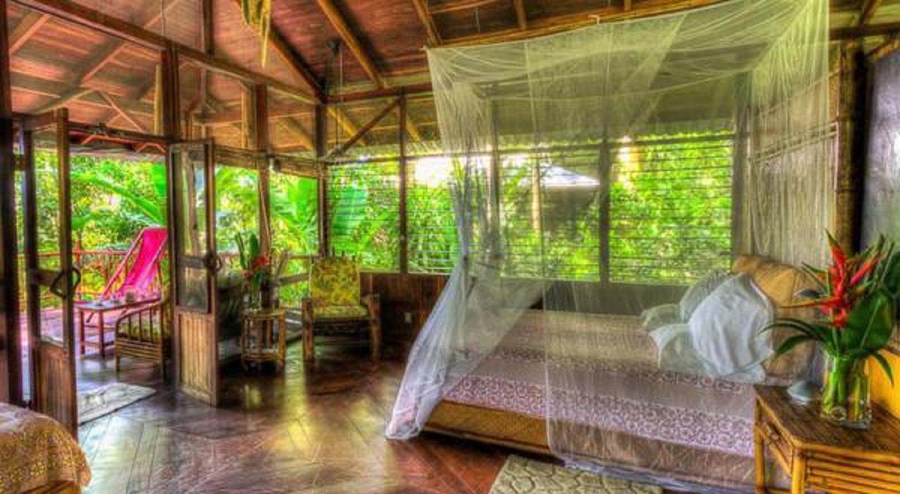 Iguana Lodge Beach Resort&Spa Puerto Jiménez Zewnętrze zdjęcie