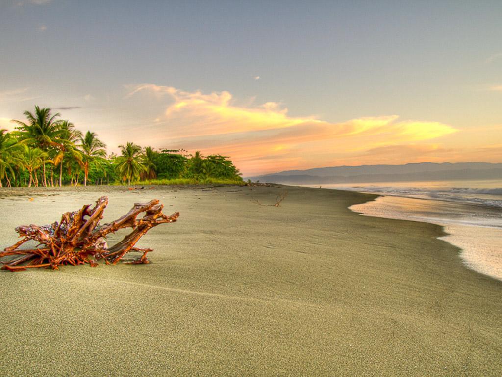 Iguana Lodge Beach Resort&Spa Puerto Jiménez Zewnętrze zdjęcie